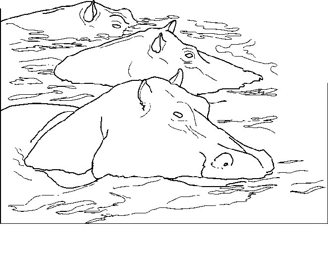 Disegno da colorare: Ippopotamo (Animali) #8727 - Pagine da Colorare Stampabili Gratuite