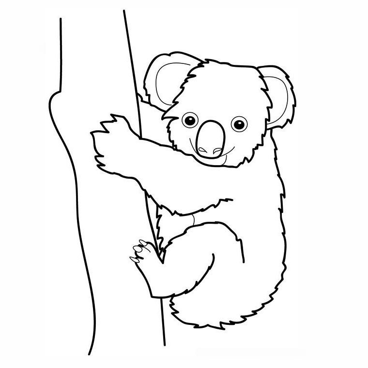 Disegno da colorare: Koala (Animali) #9300 - Pagine da Colorare Stampabili Gratuite