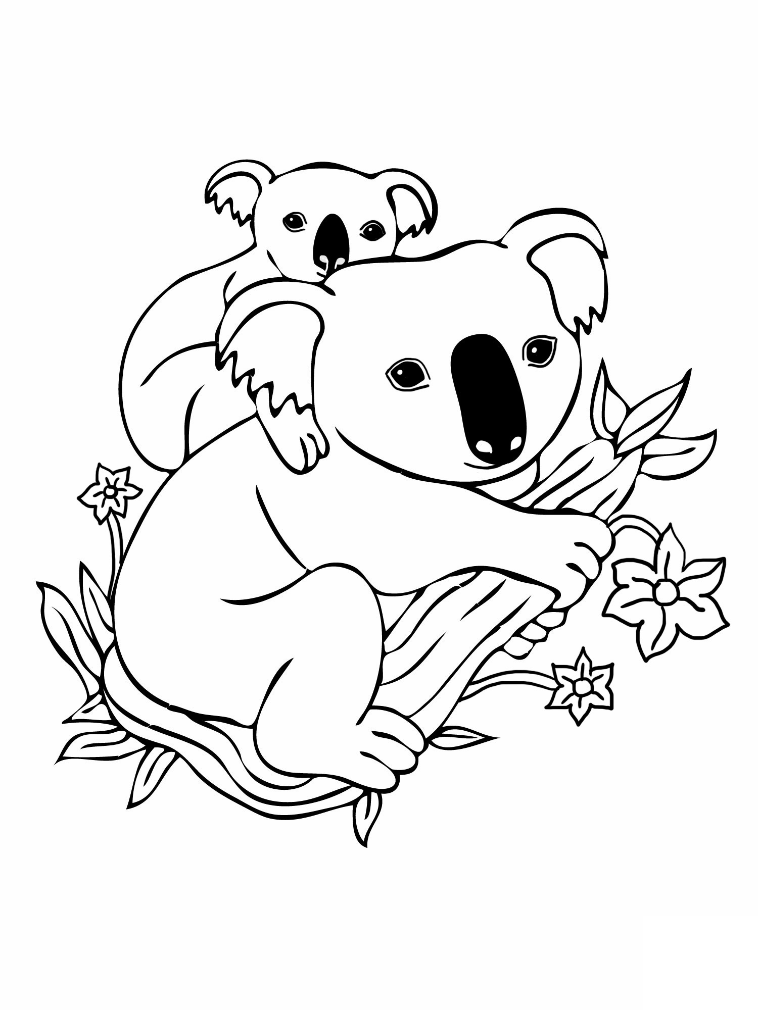 Disegno da colorare: Koala (Animali) #9302 - Pagine da Colorare Stampabili Gratuite