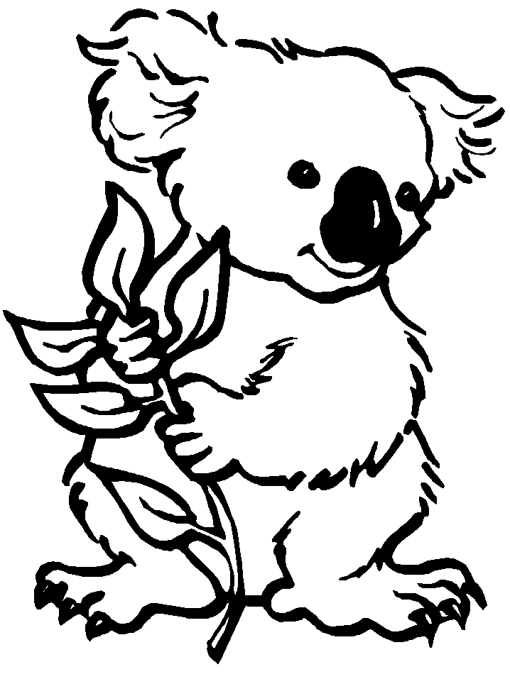 Disegno da colorare: Koala (Animali) #9303 - Pagine da Colorare Stampabili Gratuite
