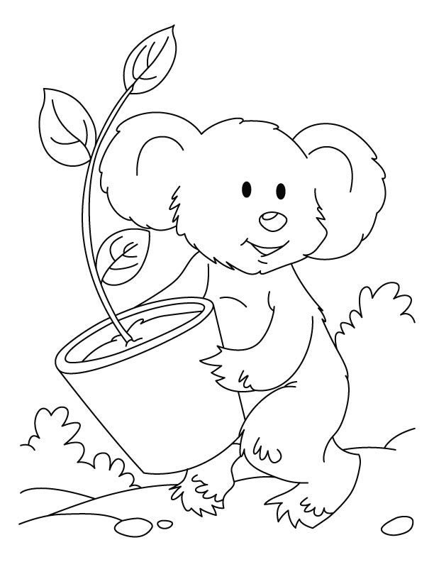 Disegno da colorare: Koala (Animali) #9306 - Pagine da Colorare Stampabili Gratuite