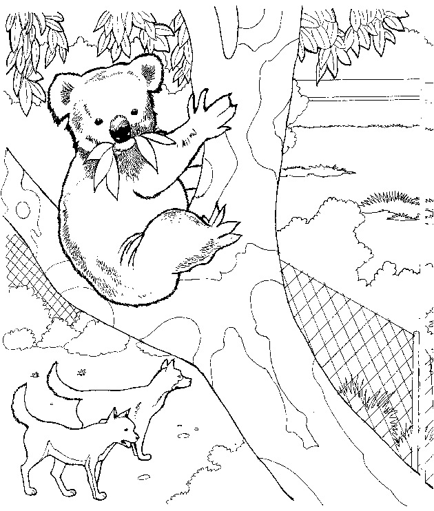 Disegno da colorare: Koala (Animali) #9307 - Pagine da Colorare Stampabili Gratuite