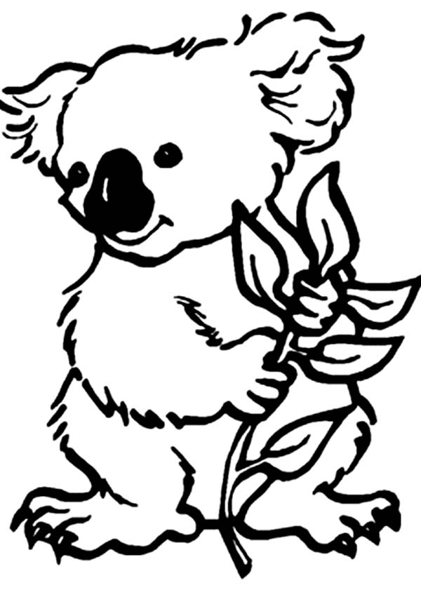 Disegno da colorare: Koala (Animali) #9309 - Pagine da Colorare Stampabili Gratuite