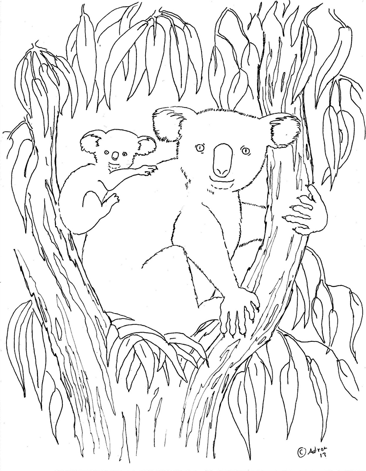 Disegno da colorare: Koala (Animali) #9310 - Pagine da Colorare Stampabili Gratuite
