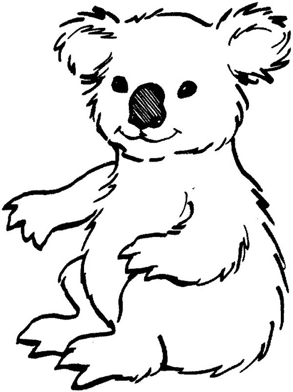 Disegno da colorare: Koala (Animali) #9311 - Pagine da Colorare Stampabili Gratuite