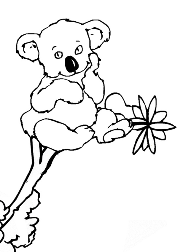 Disegno da colorare: Koala (Animali) #9325 - Pagine da Colorare Stampabili Gratuite