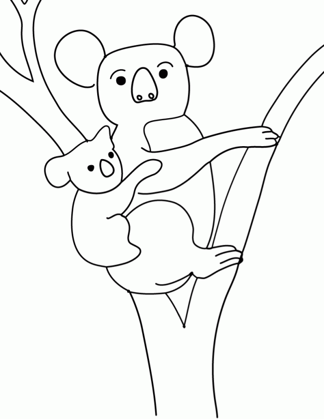 Disegno da colorare: Koala (Animali) #9326 - Pagine da Colorare Stampabili Gratuite