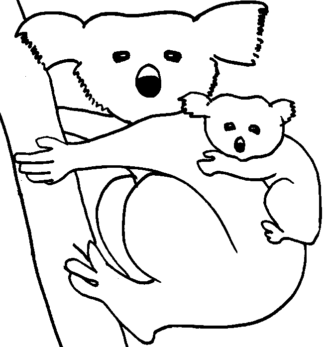 Disegno da colorare: Koala (Animali) #9334 - Pagine da Colorare Stampabili Gratuite