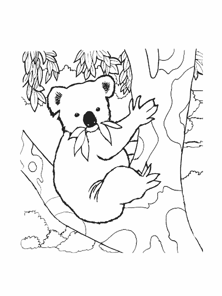 Disegno da colorare: Koala (Animali) #9337 - Pagine da Colorare Stampabili Gratuite