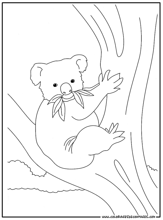 Disegno da colorare: Koala (Animali) #9342 - Pagine da Colorare Stampabili Gratuite