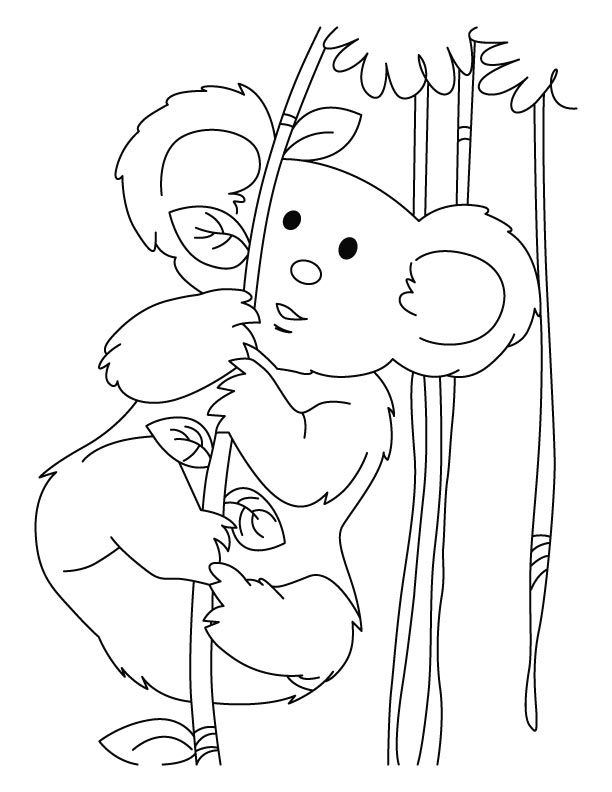 Disegno da colorare: Koala (Animali) #9345 - Pagine da Colorare Stampabili Gratuite