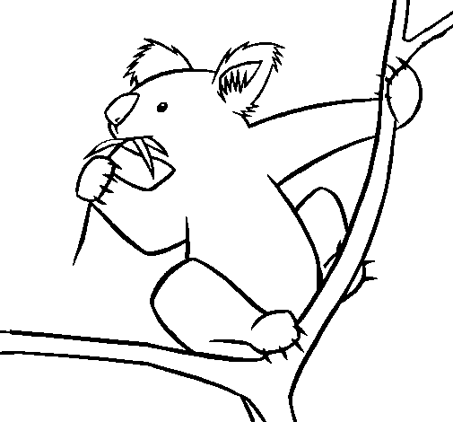 Disegno da colorare: Koala (Animali) #9356 - Pagine da Colorare Stampabili Gratuite