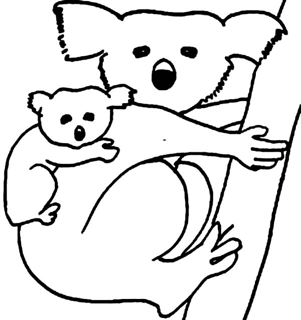Disegno da colorare: Koala (Animali) #9369 - Pagine da Colorare Stampabili Gratuite