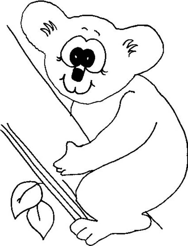 Disegno da colorare: Koala (Animali) #9393 - Pagine da Colorare Stampabili Gratuite