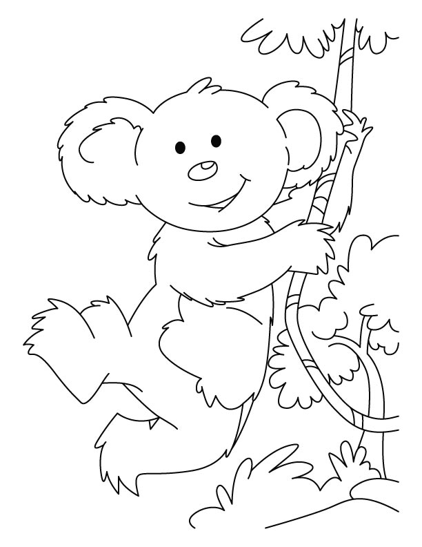 Disegno da colorare: Koala (Animali) #9409 - Pagine da Colorare Stampabili Gratuite