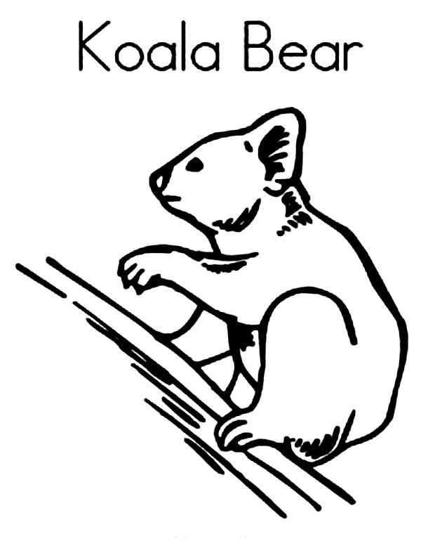 Disegno da colorare: Koala (Animali) #9444 - Pagine da Colorare Stampabili Gratuite