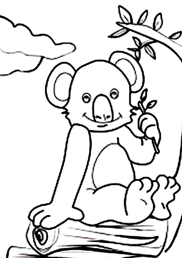 Disegno da colorare: Koala (Animali) #9461 - Pagine da Colorare Stampabili Gratuite