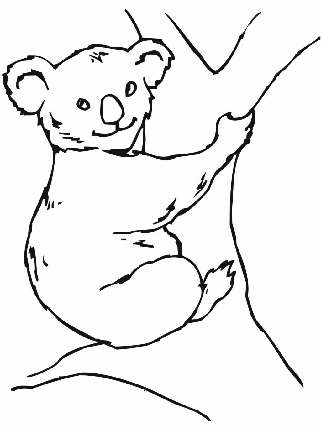 Disegno da colorare: Koala (Animali) #9462 - Pagine da Colorare Stampabili Gratuite