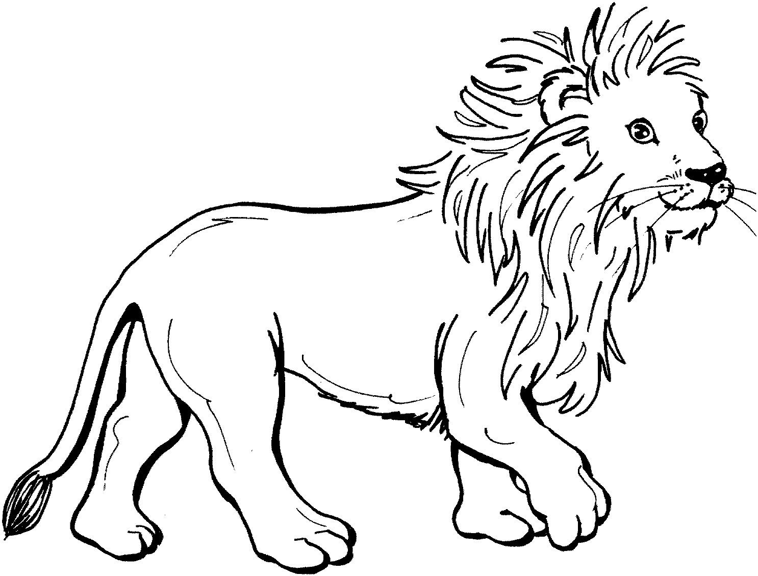 Disegno da colorare: Leone (Animali) #10240 - Pagine da Colorare Stampabili Gratuite