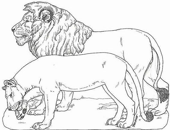 Disegno da colorare: Leone (Animali) #10241 - Pagine da Colorare Stampabili Gratuite