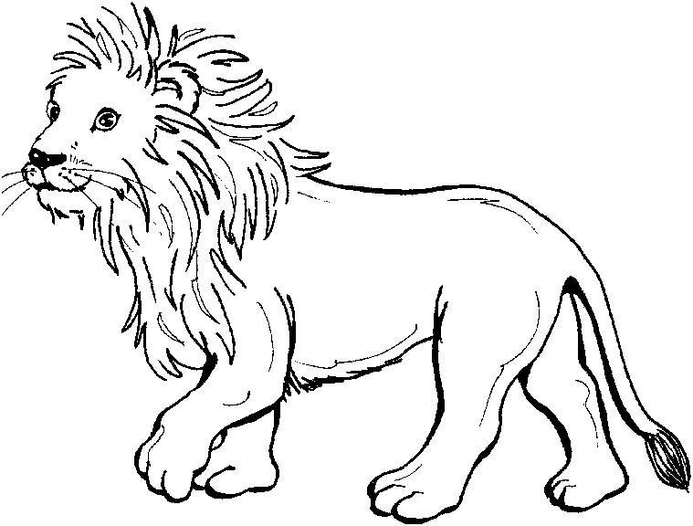 Disegno da colorare: Leone (Animali) #10267 - Pagine da Colorare Stampabili Gratuite