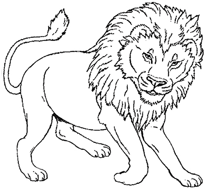 Disegno da colorare: Leone (Animali) #10270 - Pagine da Colorare Stampabili Gratuite