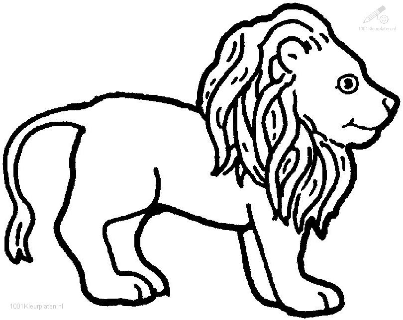 Disegno da colorare: Leone (Animali) #10340 - Pagine da Colorare Stampabili Gratuite