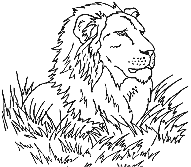 Disegno da colorare: Leone (Animali) #10349 - Pagine da Colorare Stampabili Gratuite