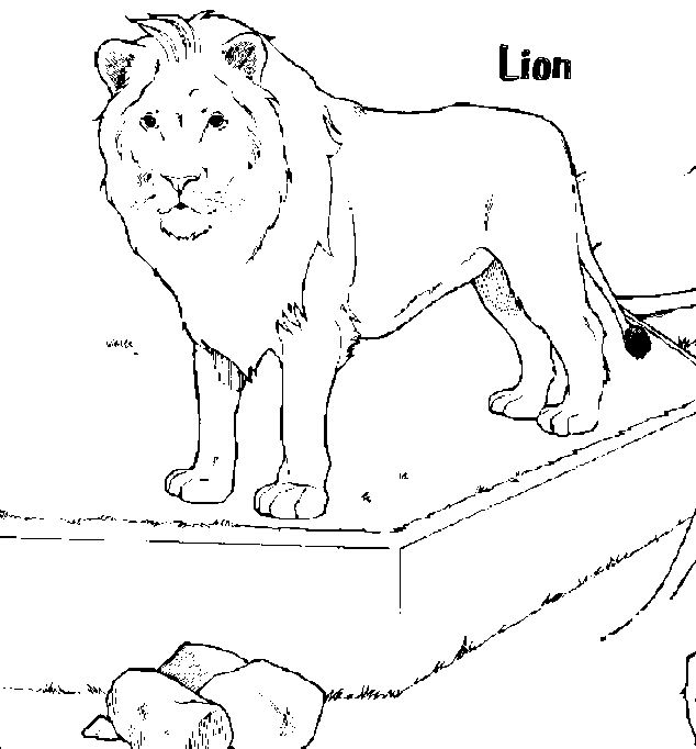 Disegno da colorare: Leone (Animali) #10359 - Pagine da Colorare Stampabili Gratuite