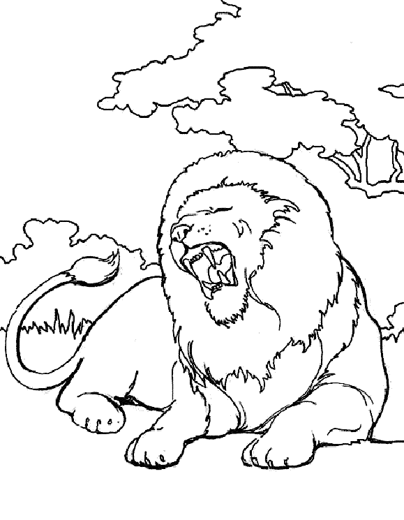 Disegno da colorare: Leone (Animali) #10360 - Pagine da Colorare Stampabili Gratuite
