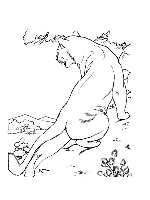 Disegno da colorare: Leone (Animali) #10384 - Pagine da Colorare Stampabili Gratuite