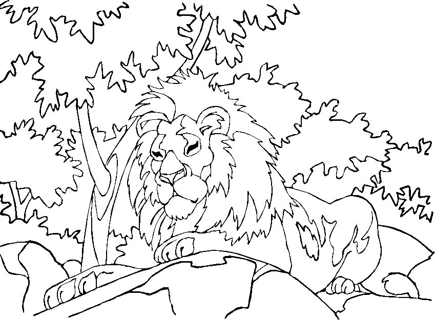 Disegno da colorare: Leone (Animali) #10418 - Pagine da Colorare Stampabili Gratuite