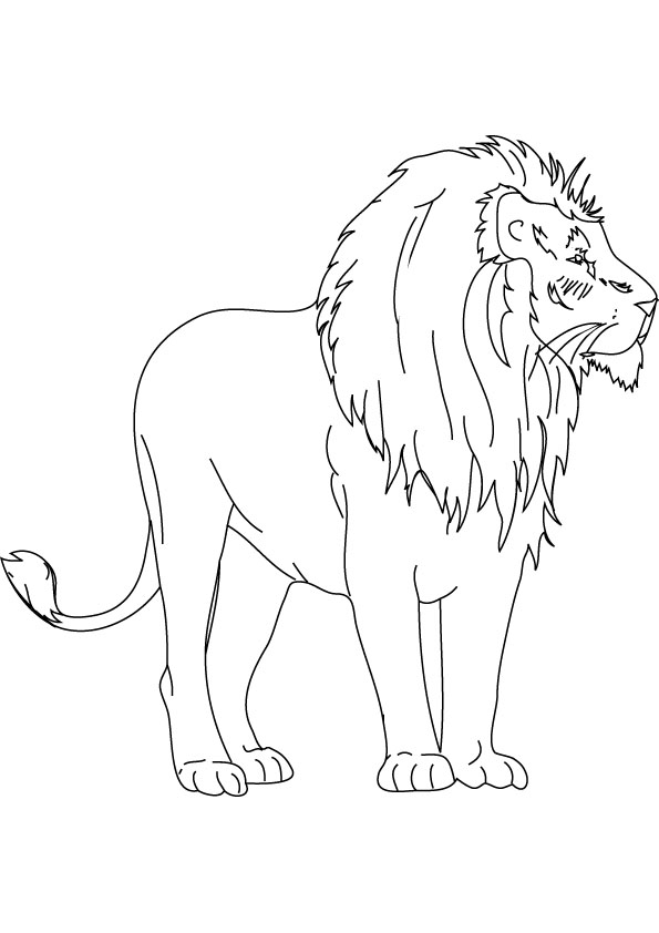 Disegno da colorare: Leone (Animali) #10437 - Pagine da Colorare Stampabili Gratuite