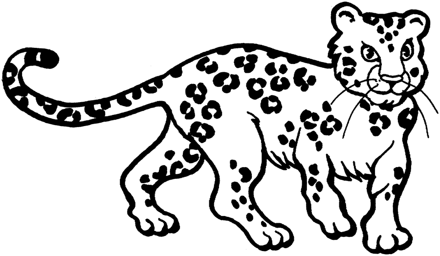 Disegno da colorare: Leopardo (Animali) #9706 - Pagine da Colorare Stampabili Gratuite