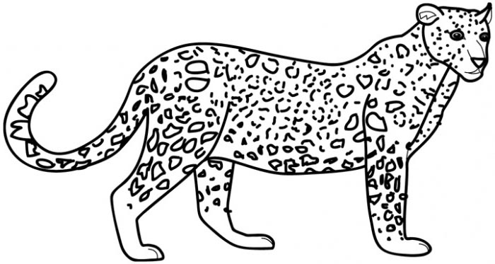 Disegno da colorare: Leopardo (Animali) #9710 - Pagine da Colorare Stampabili Gratuite
