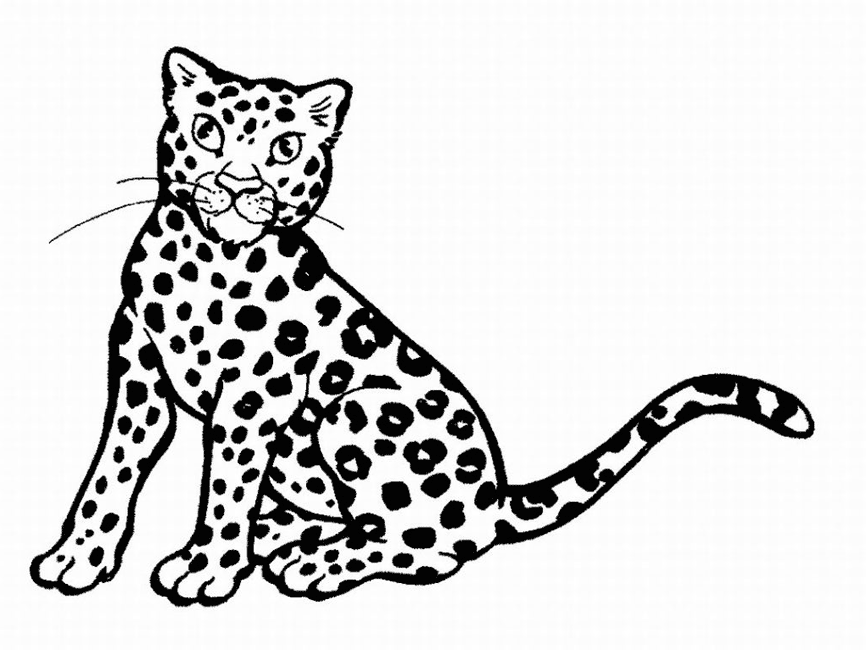 Disegno da colorare: Leopardo (Animali) #9735 - Pagine da Colorare Stampabili Gratuite
