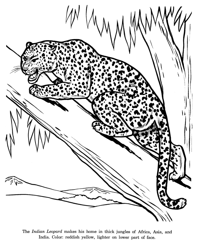 Disegno da colorare: Leopardo (Animali) #9748 - Pagine da Colorare Stampabili Gratuite