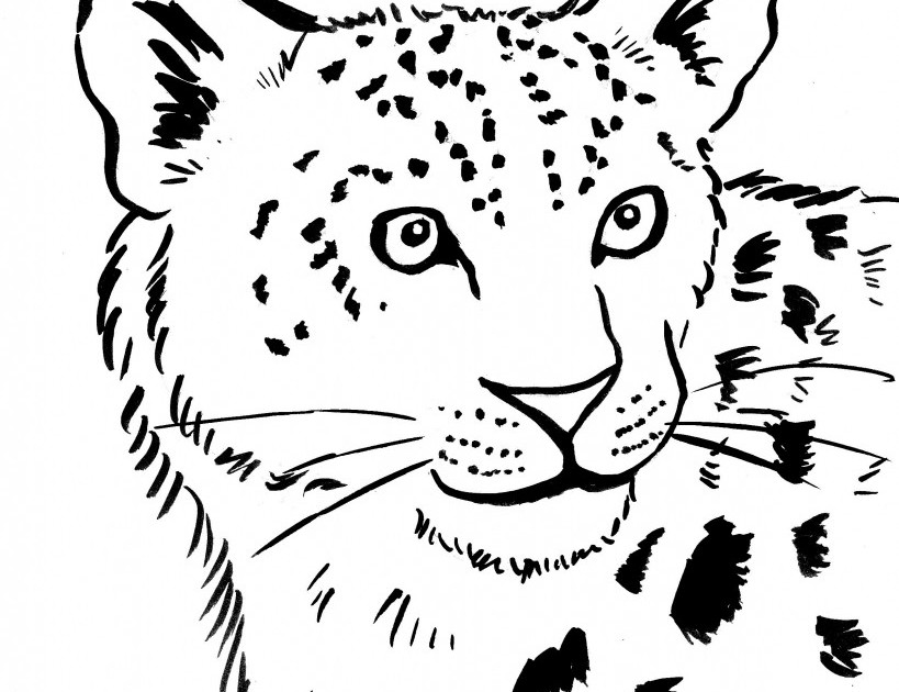 Disegno da colorare: Leopardo (Animali) #9759 - Pagine da Colorare Stampabili Gratuite