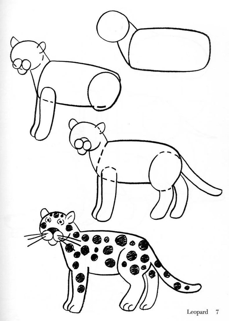 Disegno da colorare: Leopardo (Animali) #9779 - Pagine da Colorare Stampabili Gratuite