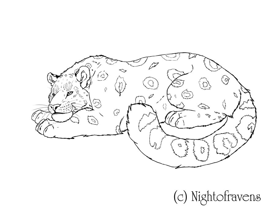 Disegno da colorare: Leopardo (Animali) #9801 - Pagine da Colorare Stampabili Gratuite