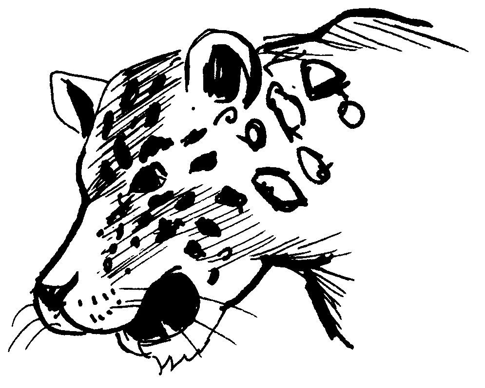 Disegno da colorare: Leopardo (Animali) #9807 - Pagine da Colorare Stampabili Gratuite