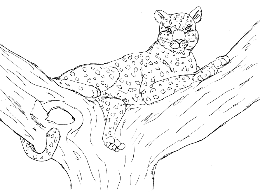 Disegno da colorare: Leopardo (Animali) #9810 - Pagine da Colorare Stampabili Gratuite