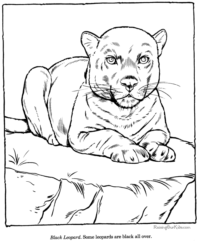 Disegno da colorare: Leopardo (Animali) #9822 - Pagine da Colorare Stampabili Gratuite