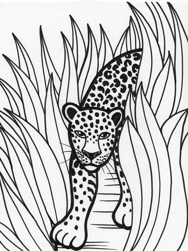 Disegno da colorare: Leopardo (Animali) #9825 - Pagine da Colorare Stampabili Gratuite
