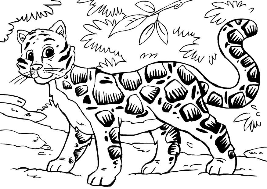 Disegno da colorare: Leopardo (Animali) #9849 - Pagine da Colorare Stampabili Gratuite