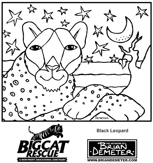 Disegno da colorare: Leopardo (Animali) #9864 - Pagine da Colorare Stampabili Gratuite