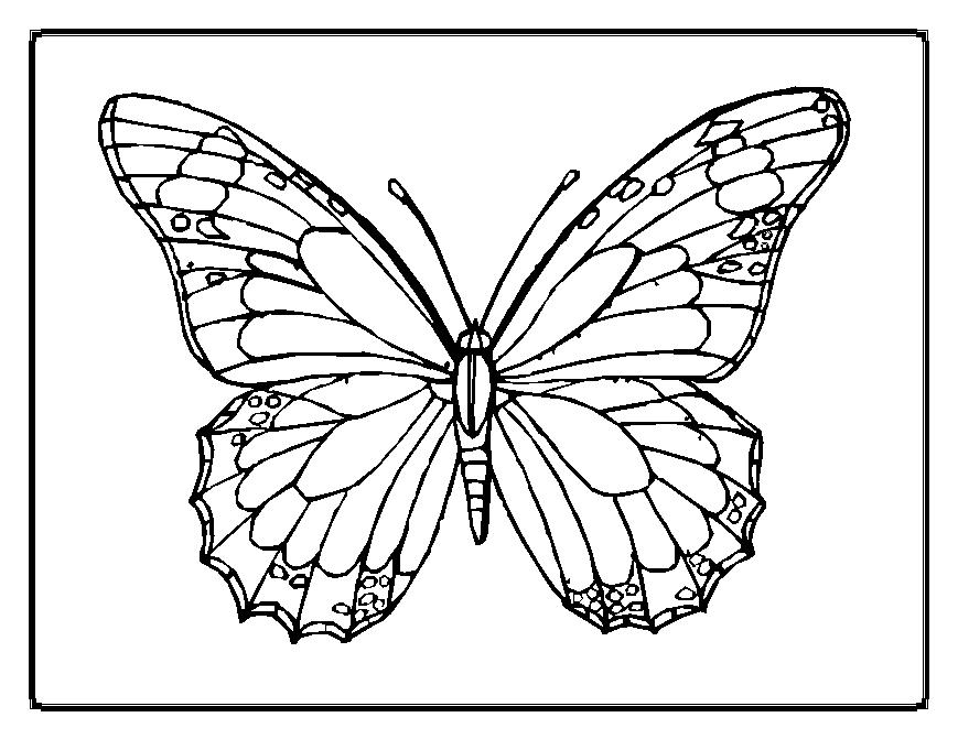 Disegno da colorare: Libellula (Animali) #10016 - Pagine da Colorare Stampabili Gratuite