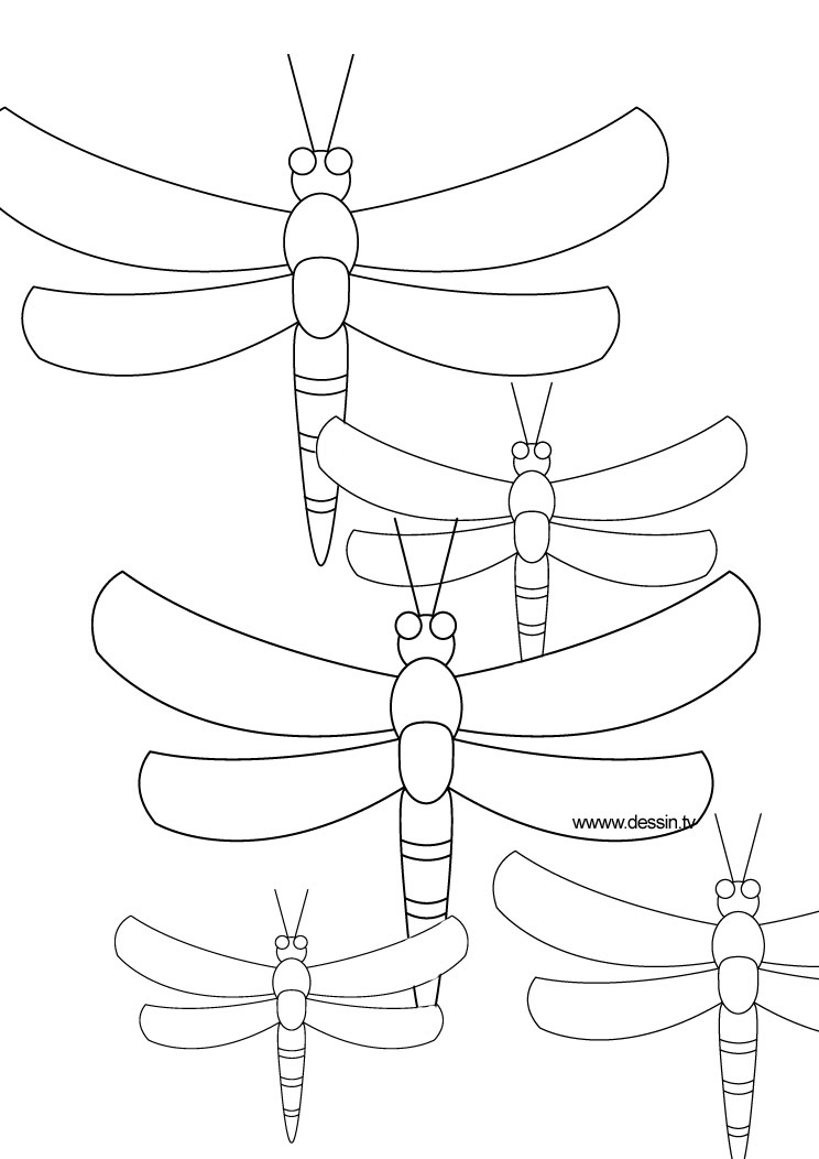 Disegno da colorare: Libellula (Animali) #9903 - Pagine da Colorare Stampabili Gratuite