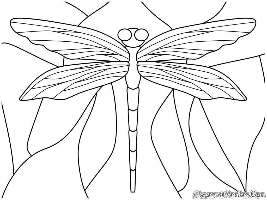 Disegno da colorare: Libellula (Animali) #9944 - Pagine da Colorare Stampabili Gratuite