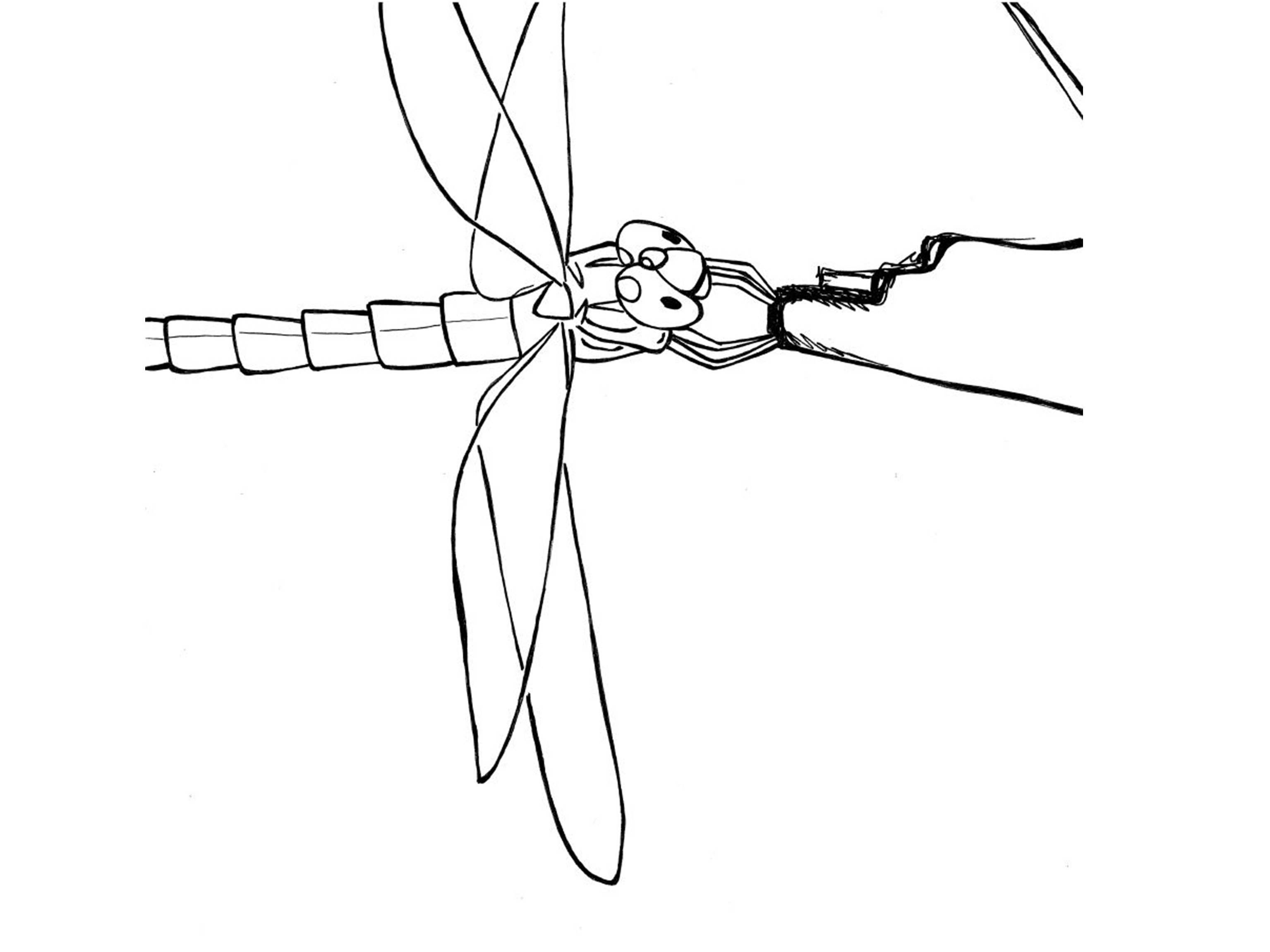 Disegno da colorare: Libellula (Animali) #9963 - Pagine da Colorare Stampabili Gratuite